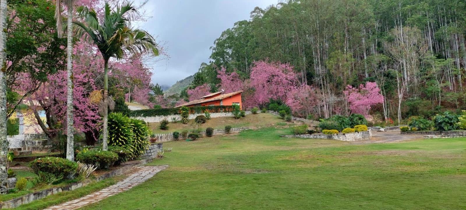 Cabanas Eco Das Montanhas Домингус-Мартинс Экстерьер фото